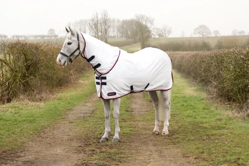 DefenceX System ProteX Summer Sheet - White/Navy/Red